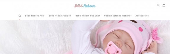 Détails : BebeReborn.fr - La boutique bébé reborn réaliste 